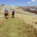 Hai-hui, sâmbătă, 30 august 2025