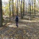 Hai-hui, miercuri, 29 octombrie 2025