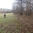 Hai-hui, miercuri, 26 noiembrie 2025