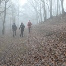 Hai-hui, sâmbătă, 22 noiembrie 2025