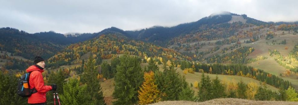 Toamna pe o … uliță ce duce la cele Trei Pietre al Munceilor Nășcălatului !