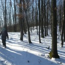 Hai-hui, luni, 29 decembrie 2025