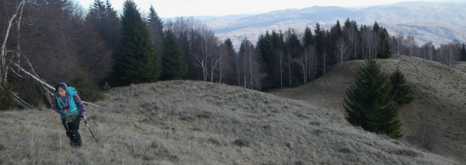 La o margine de … Grohotiș: din Poiana Mare în Poiana Lungă peste Măgura Măneciului !
