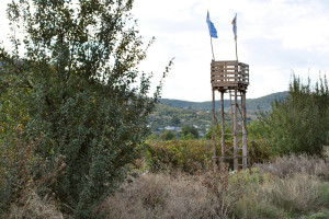 Foișor de pază, mai ales pentru grauri, în viile Niculițelului/Dobrogea foto: Andrei Raftopol - 27 septembrie 2013