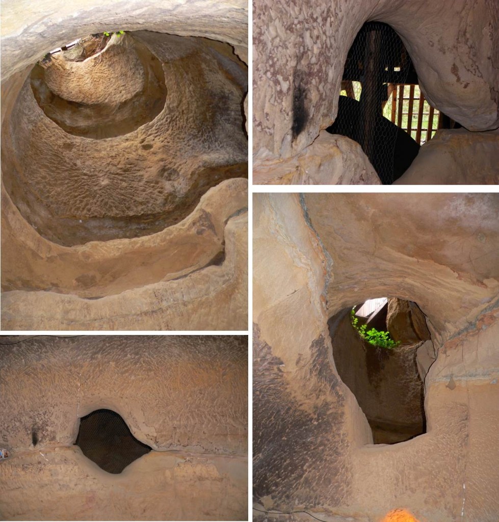 (Stră)vechi și nou la Șinca Veche și la Șinca Nouă Munte si flori