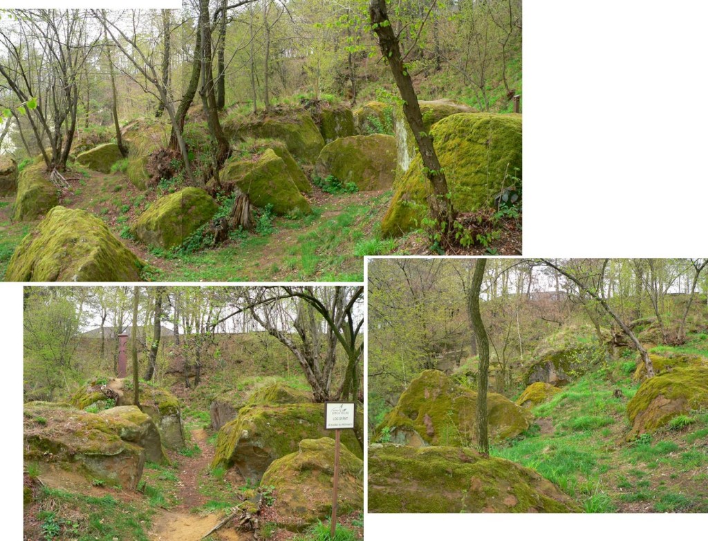 (Stră)vechi și nou la Șinca Veche și la Șinca Nouă Munte si flori