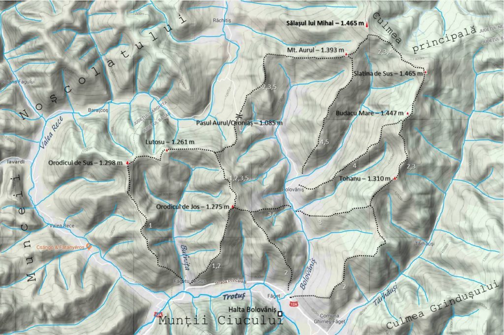 Trasee în Munții Tarcăului cu plecare din (Ghimeș)Făget Munte si flori